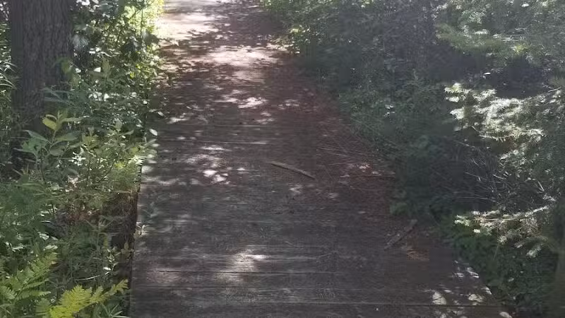 Canoe / kayak launch and trails - Kewadin,