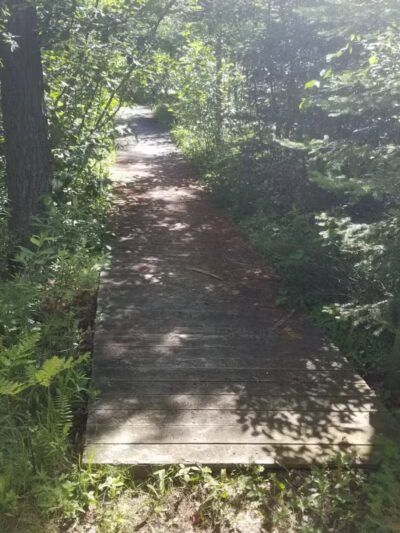 Canoe / kayak launch and trails - Kewadin,