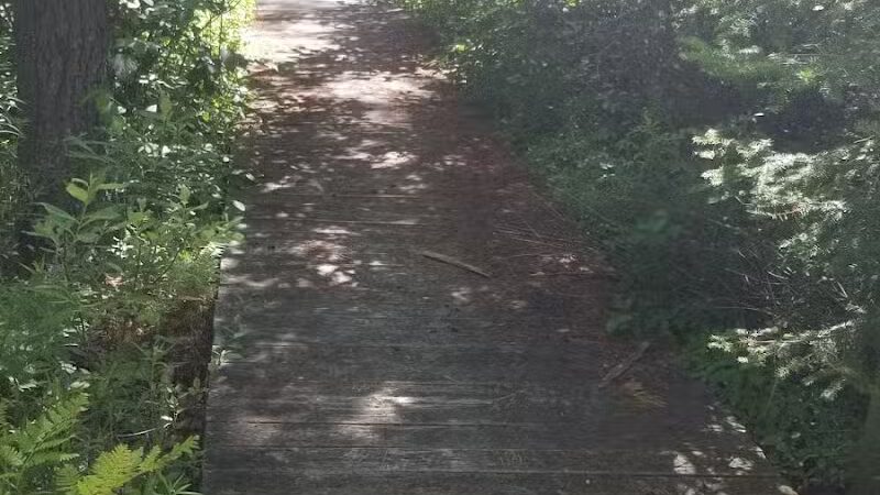 Canoe / kayak launch and trails - Kewadin,