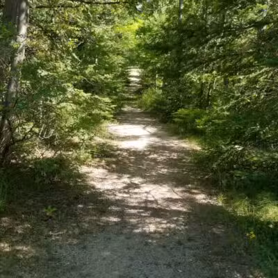 Canoe / kayak launch and trails - Kewadin,