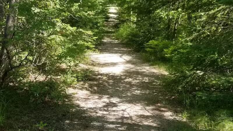 Canoe / kayak launch and trails - Kewadin,