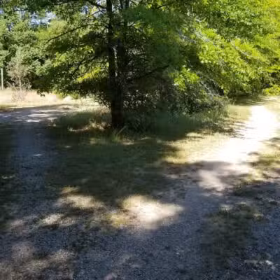Canoe / kayak launch and trails - Kewadin,