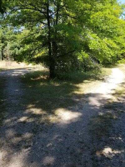 Canoe / kayak launch and trails - Kewadin,