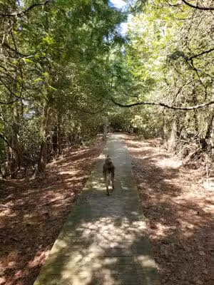 Torch Bay Nature Preserve - Kewadin,
