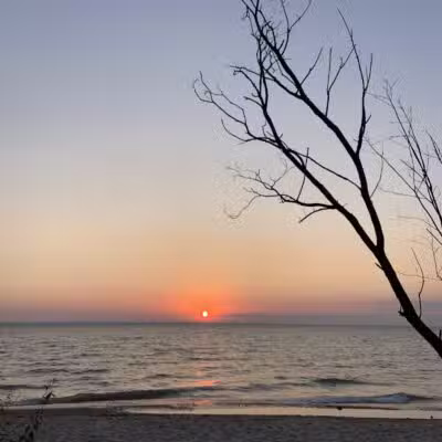 Torch Bay Nature Preserve - Kewadin,