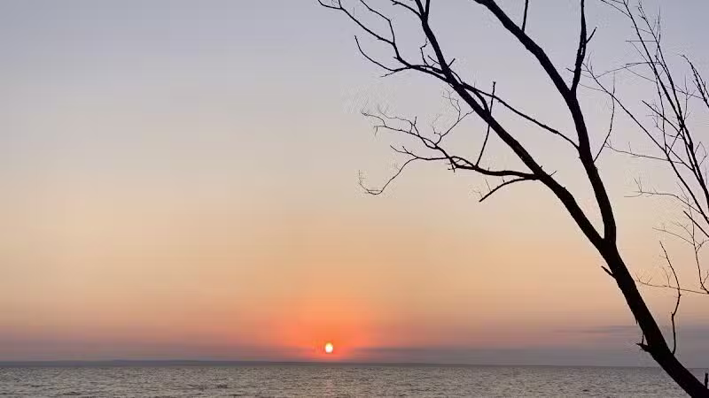 Torch Bay Nature Preserve - Kewadin,