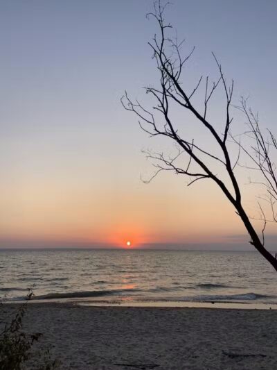 Torch Bay Nature Preserve - Kewadin,