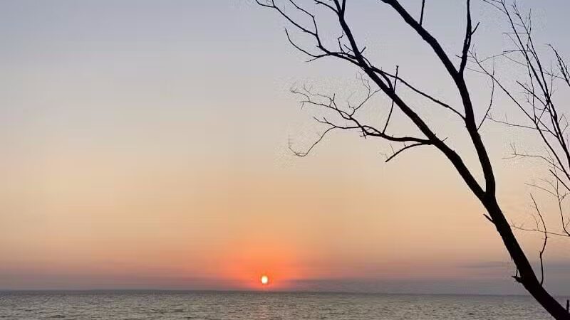 Torch Bay Nature Preserve - Kewadin,