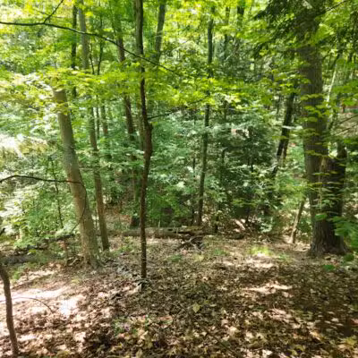 Torch Bay Nature Preserve - Kewadin,