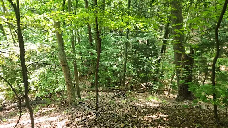 Torch Bay Nature Preserve - Kewadin,