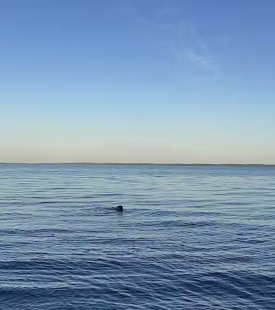 Torch Bay Nature Preserve - Kewadin,