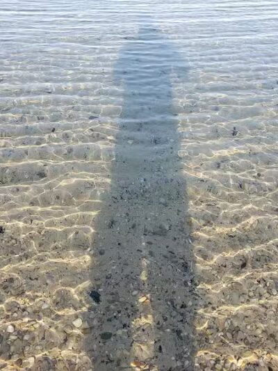 William Good Day Park - Kewadin,