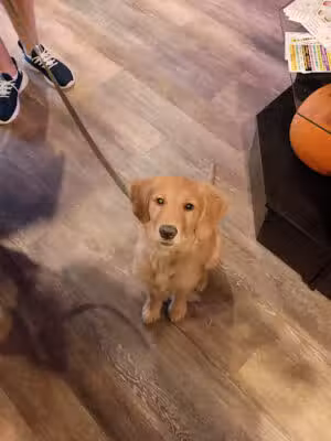 Smokey's Doggy Cafe - Keyport, NJ