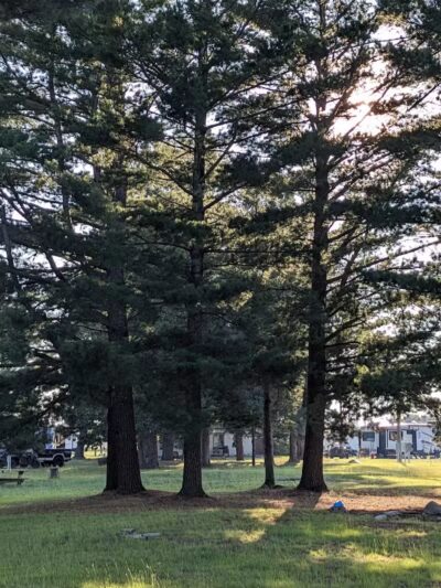 Kinross Charter Township R.V. Park East - Kincheloe, MI