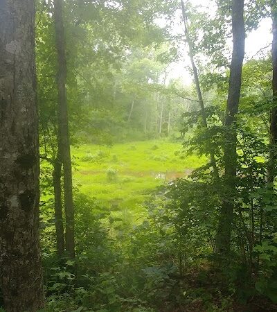 Dahlgren Railroad Heritage Trail Parking/Access - King George, VA