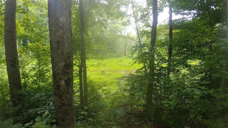 Dahlgren Railroad Heritage Trail Parking/Access - King George, VA