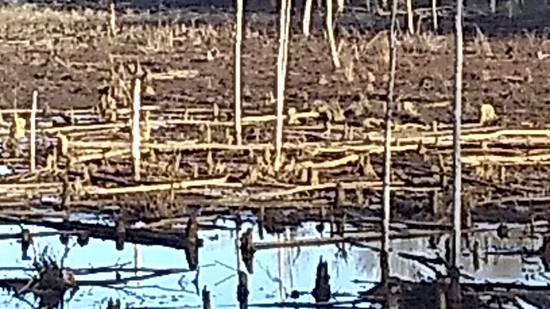 Dahlgren Railroad Heritage Trail Parking/Access - King George, VA