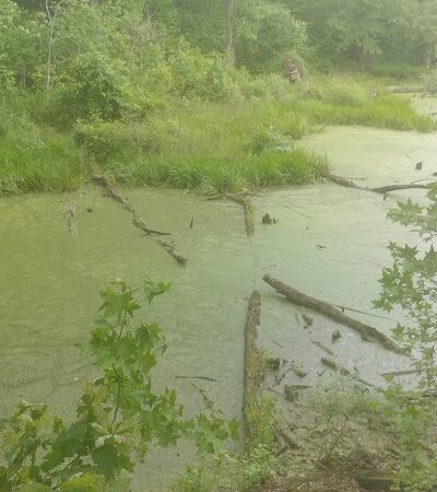 Dahlgren Railroad Heritage Trail Parking/Access - King George, VA