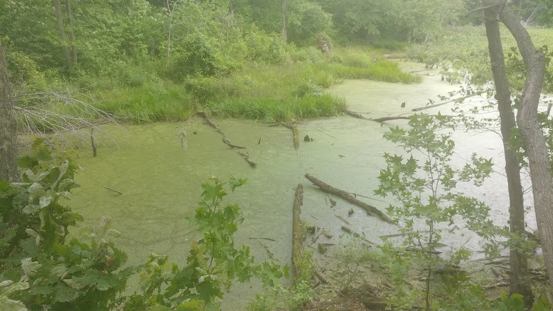 Dahlgren Railroad Heritage Trail Parking/Access - King George, VA