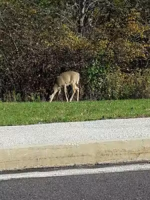 Bob Case Park - King of Prussia, PA