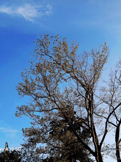 Valley Forge National Historical Park - King of Prussia, PA