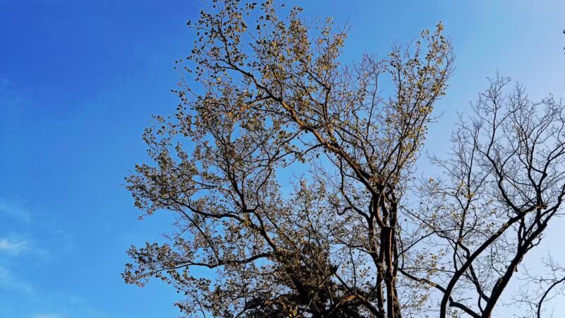 Valley Forge National Historical Park - King of Prussia, PA