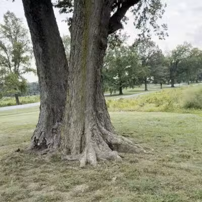 Valley Forge Park - King of Prussia, PA