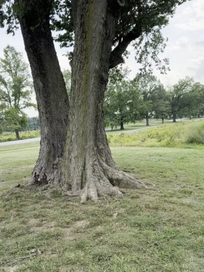 Valley Forge Park - King of Prussia, PA