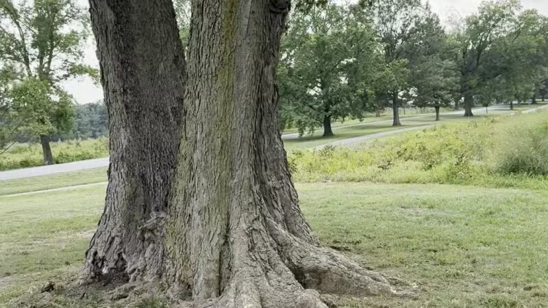 Valley Forge Park - King of Prussia, PA