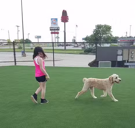 FastLane Pup Park - Kingdom City, MO