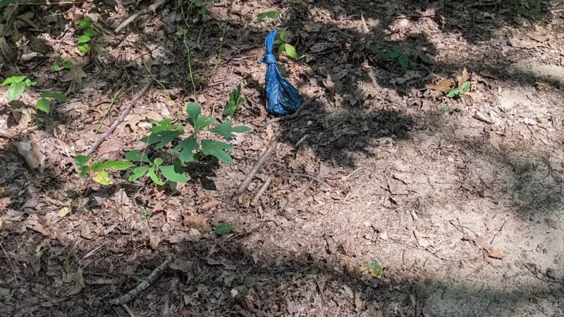 Kings Park Bluff - Kings Park, NY