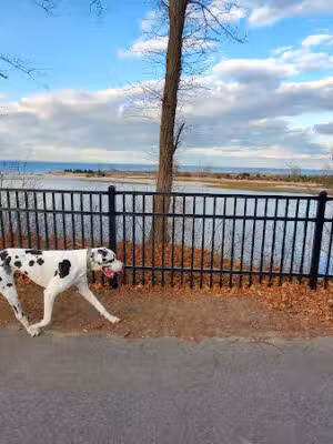 Kings Park Bluff - Kings Park, NY