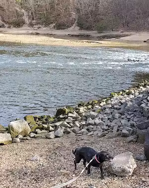 Sunken Meadow State Park - Kings Park, NY