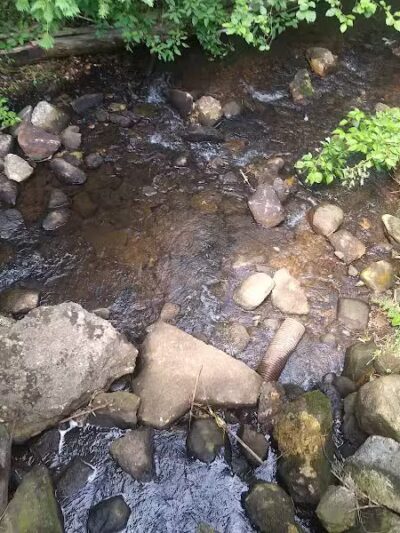 Mayfield Pond Park - Kingsley,