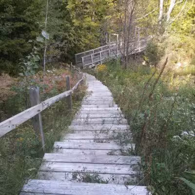Mayfield Pond Park - Kingsley,
