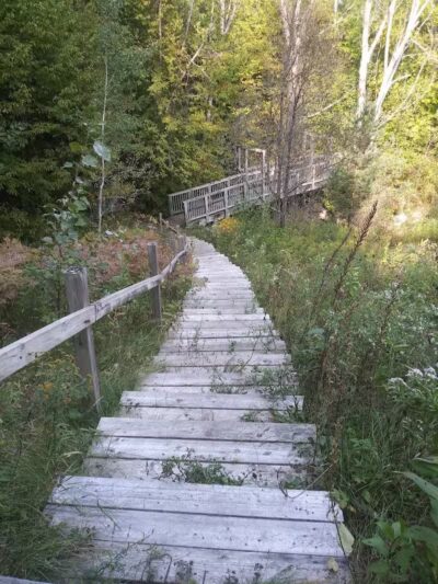 Mayfield Pond Park - Kingsley,
