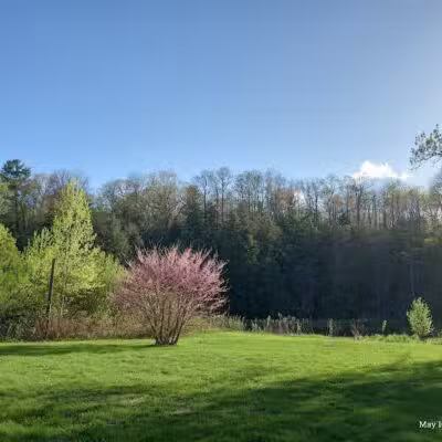 Mayfield Pond Park - Kingsley,