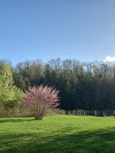 Mayfield Pond Park - Kingsley,