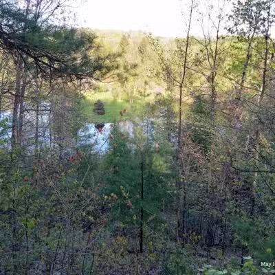 Mayfield Pond Park - Kingsley,