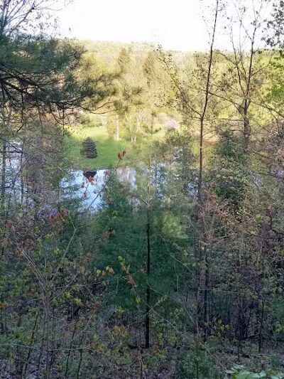 Mayfield Pond Park - Kingsley,