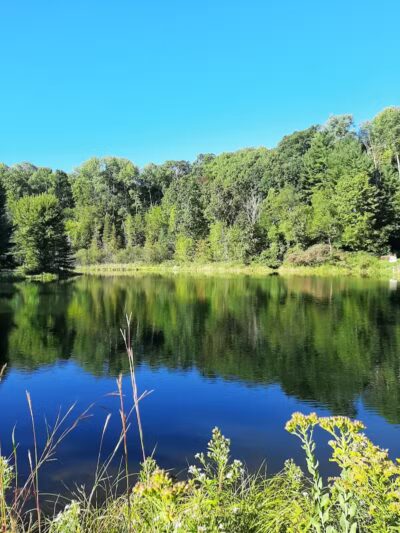 Mayfield Pond Park - Kingsley,