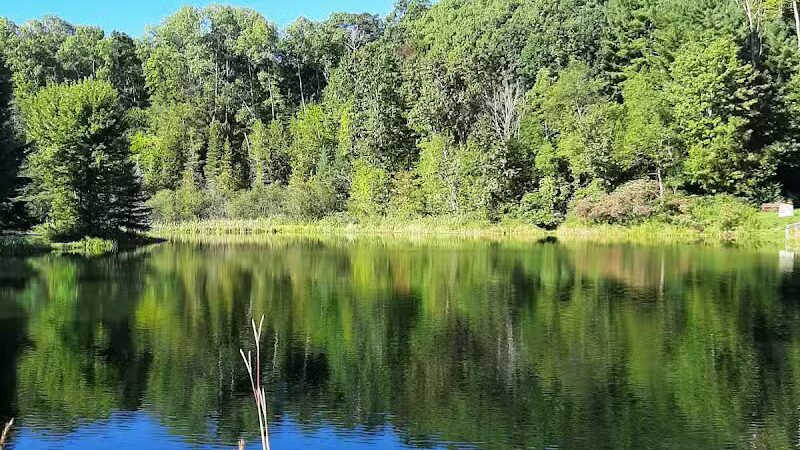 Mayfield Pond Park - Kingsley,