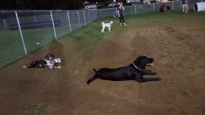 Kingston Dog Park - Kingston, PA