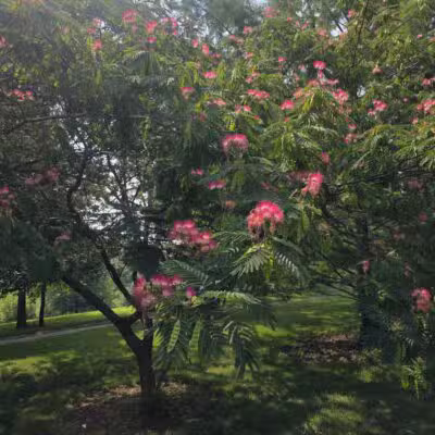 Powell Gardens, Kansas City's Botanical Garden - Kingsville, MO