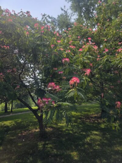 Powell Gardens, Kansas City's Botanical Garden - Kingsville, MO