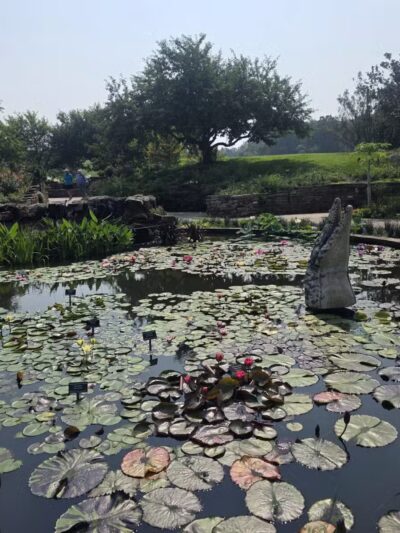 Powell Gardens, Kansas City's Botanical Garden - Kingsville, MO