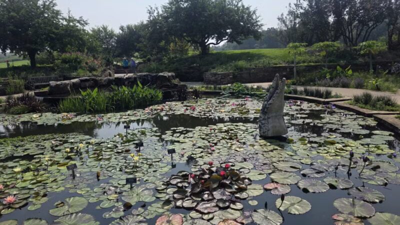 Powell Gardens, Kansas City's Botanical Garden - Kingsville, MO