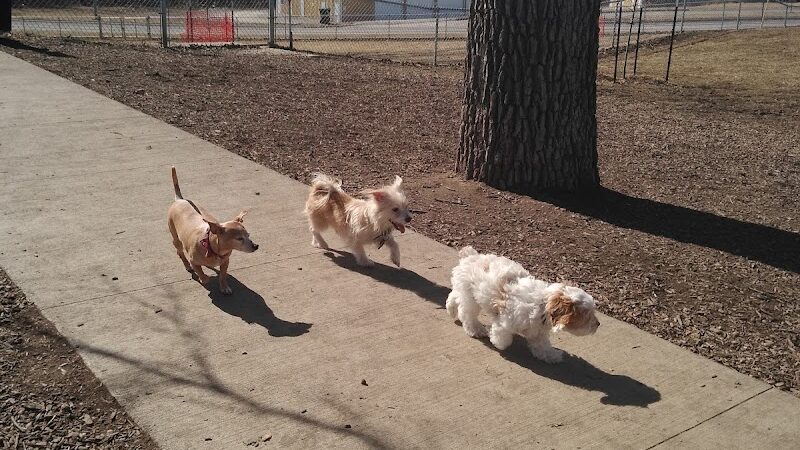 McKinney Bark Park - Kirksville, MO