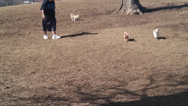 McKinney Bark Park - Kirksville, MO