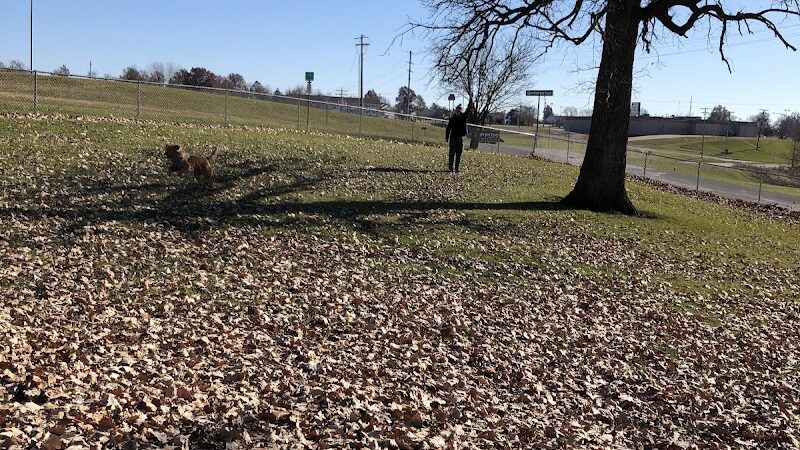 McKinney Bark Park - Kirksville, MO
